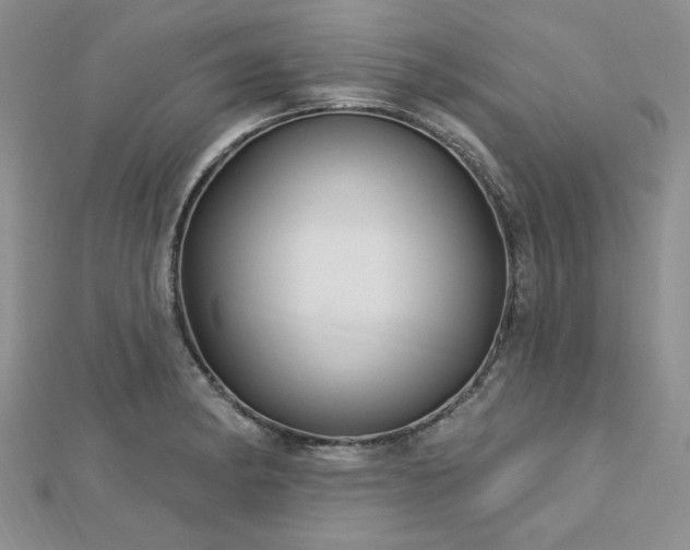 X0000113131182200909041141