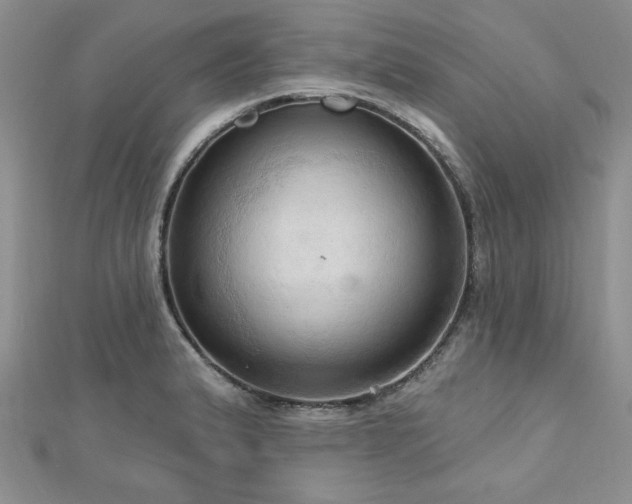X0000113131183200909041141