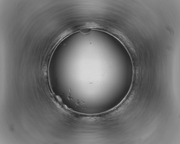 X0000113131185200909041141