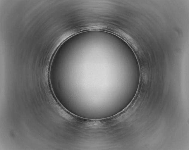 X0000113131186200909041141