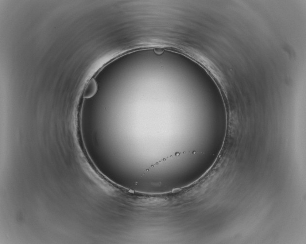 X0000113131187200909041141