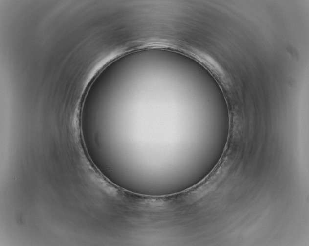 X0000113131190200909041141