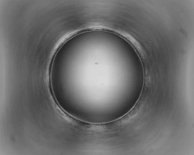 X0000113131191200909041141