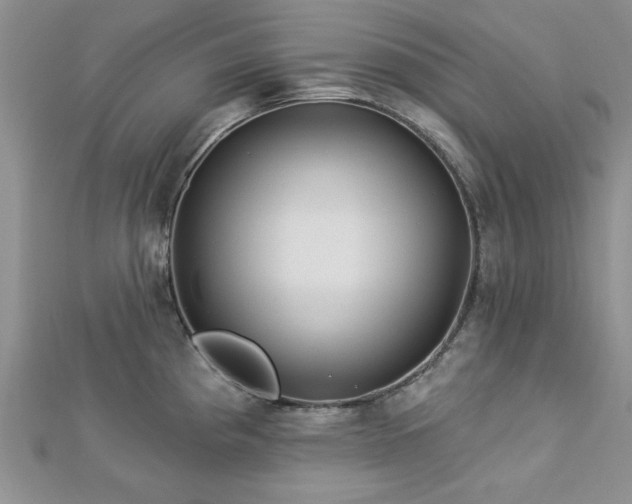 X0000113131193200909041141
