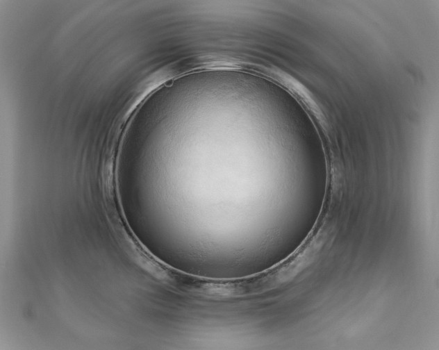 X0000113131194200909041141