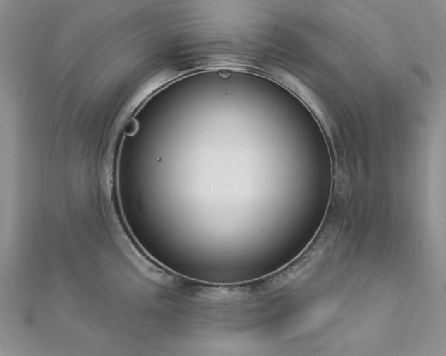 X0000113131195200909041141