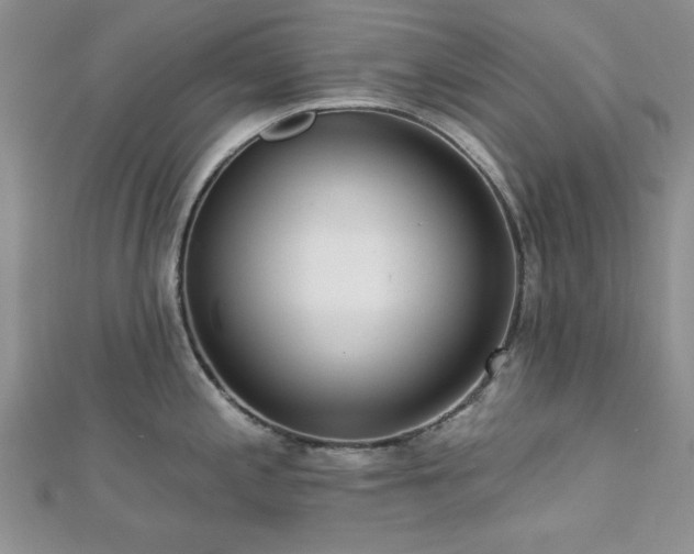 X0000113131197200909041141