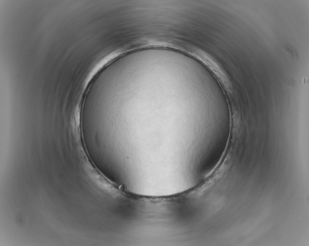 X0000113131198200909041141