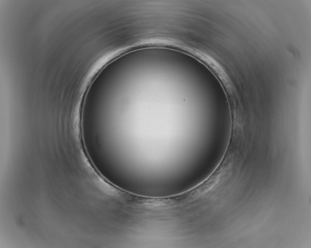 X0000113131199200909041141