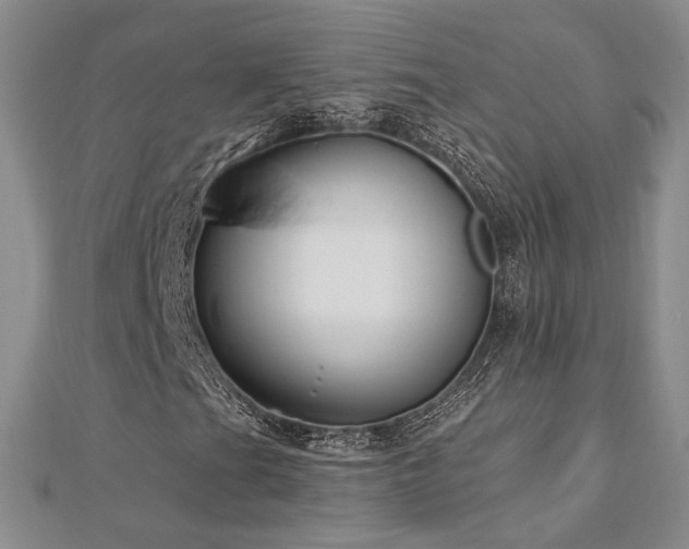X0000113131201200909041140