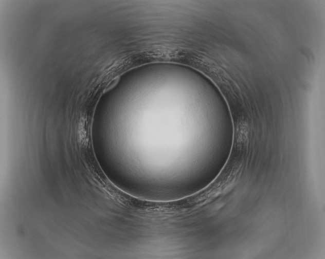 X0000113131202200909041140