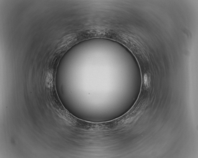X0000113131203200909041140