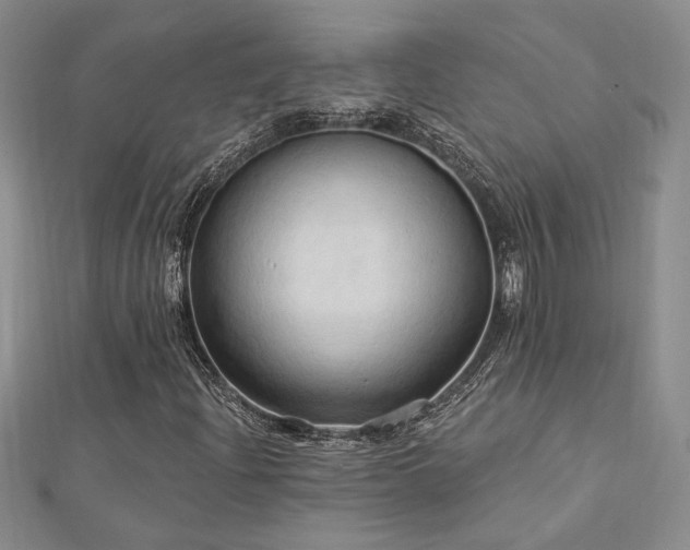 X0000113131204200909041140