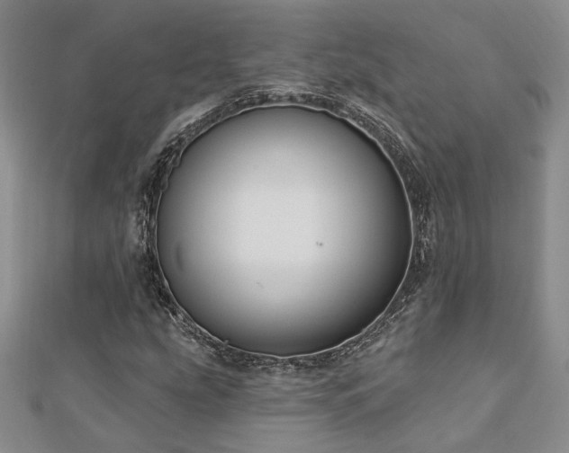 X0000113131207200909041140