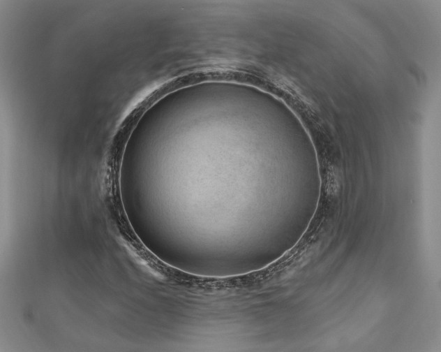 X0000113131208200909041140