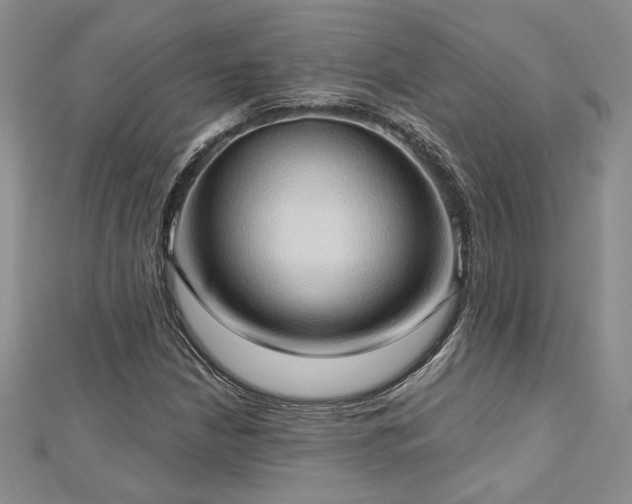 X0000113131210200909041140