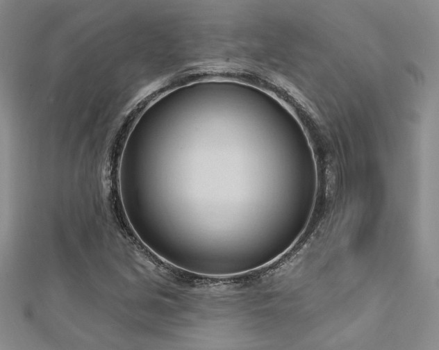 X0000113131213200909041140