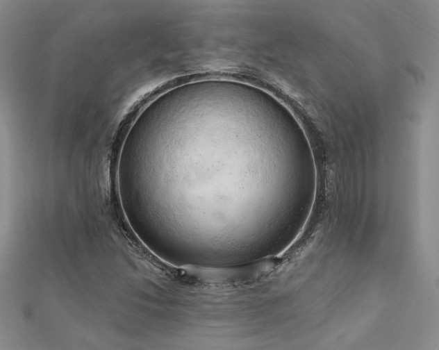 X0000113131214200909041140