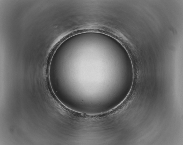 X0000113131216200909041140