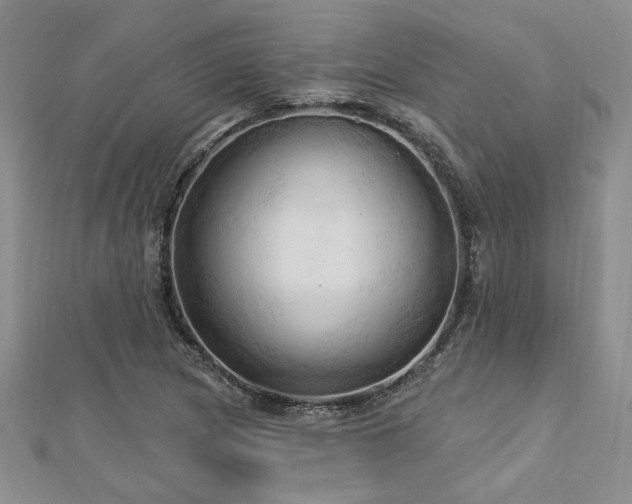 X0000113131217200909041140