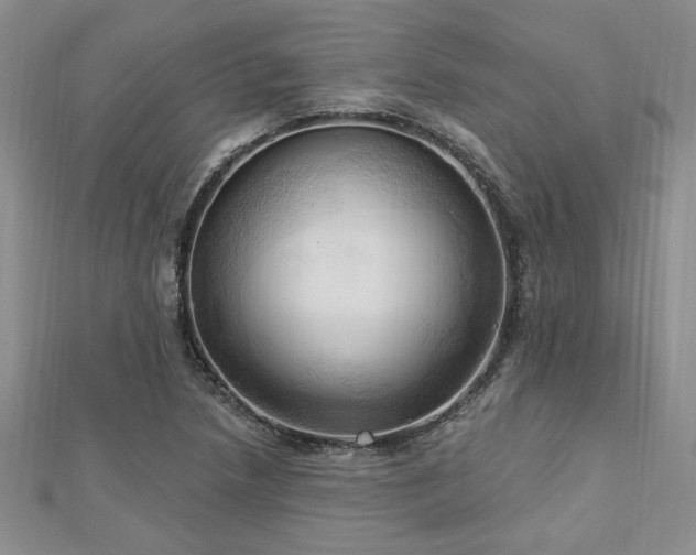 X0000113131218200909041140