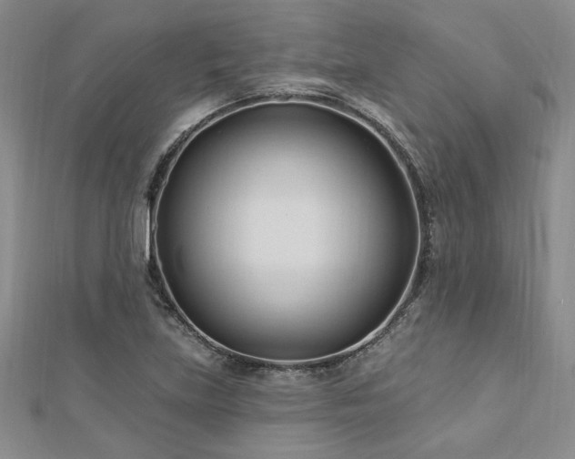 X0000113131219200909041140