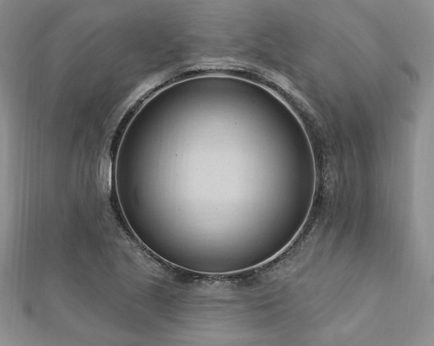 X0000113131221200909041140
