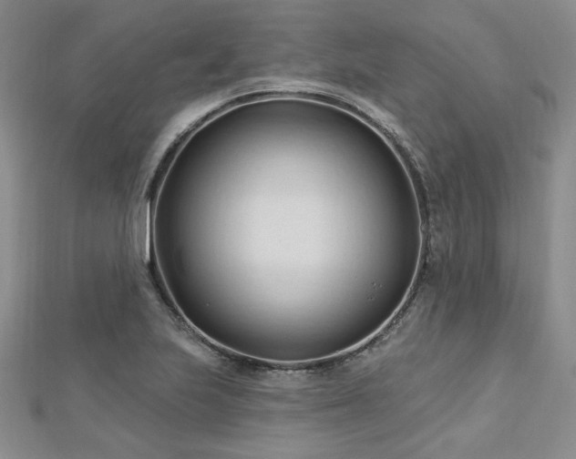 X0000113131223200909041140