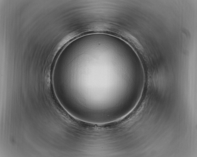 X0000113131226200909041140