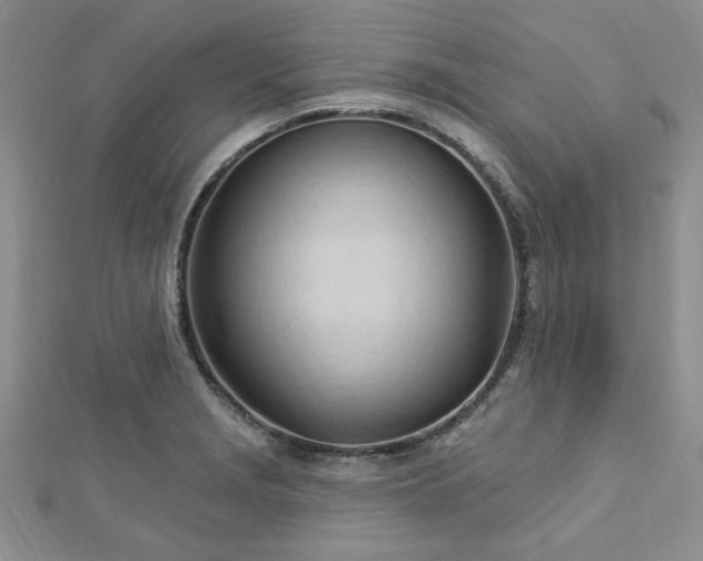 X0000113131229200909041140