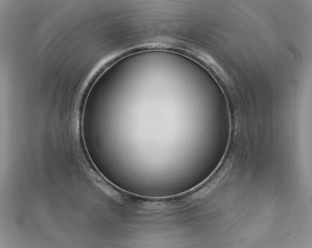 X0000113131232200909041141