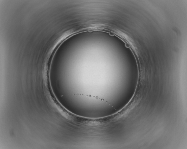 X0000113131235200909041141