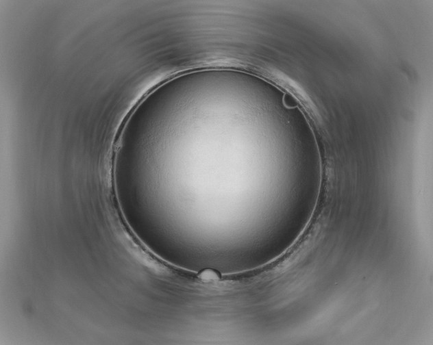 X0000113131236200909041141