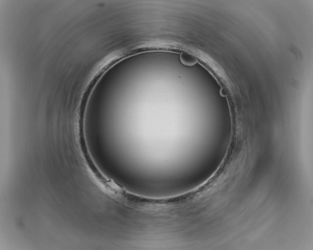 X0000113131237200909041141