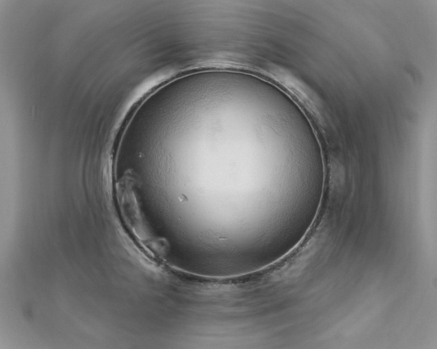X0000113131238200909041141