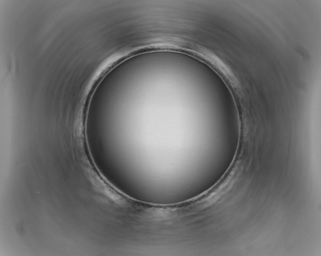 X0000113131240200909041141