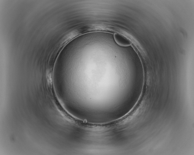 X0000113131241200909041141