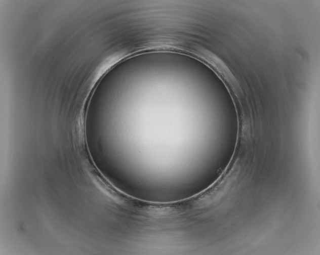 X0000113131242200909041141
