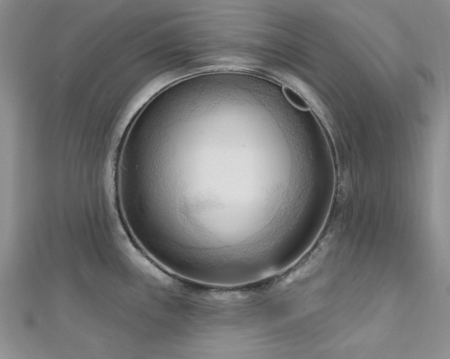 X0000113131243200909041141