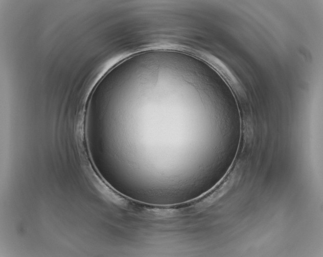 X0000113131244200909041141