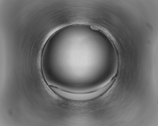 X0000113131246200909041141