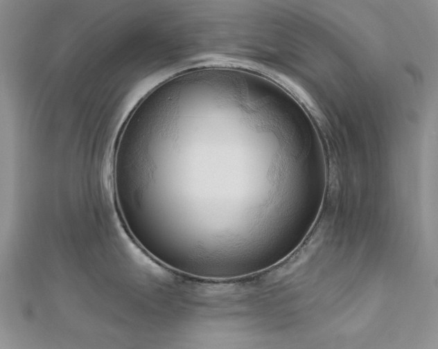 X0000113131247200909041141