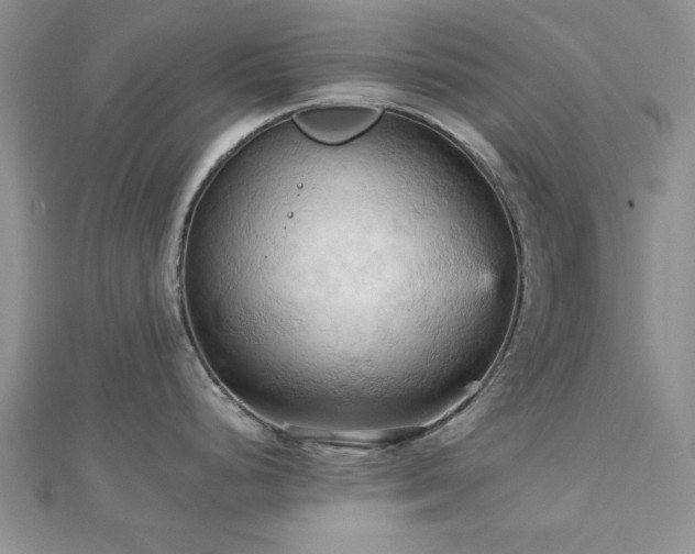 X0000113131248200909041141