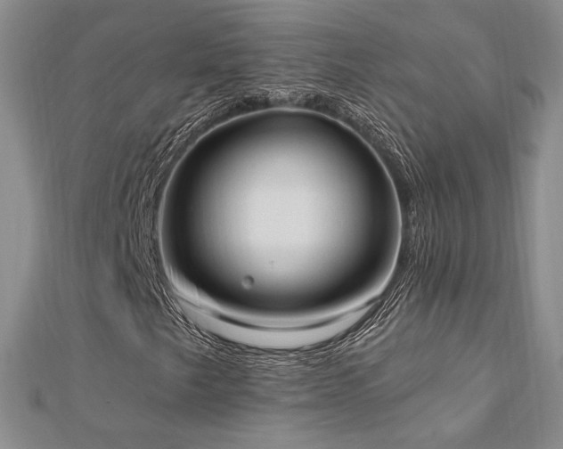 X0000113131249200909041140