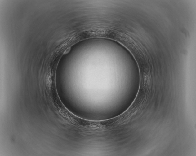 X0000113131250200909041140
