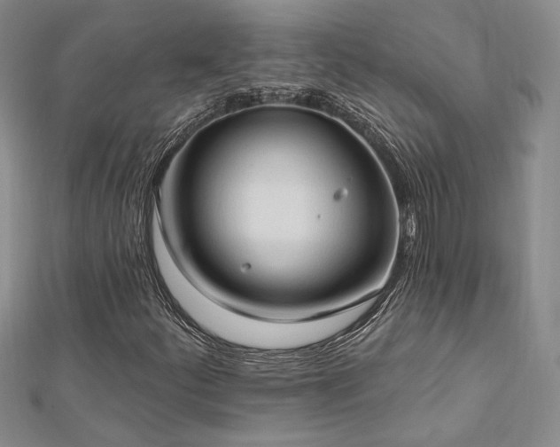 X0000113131252200909041140