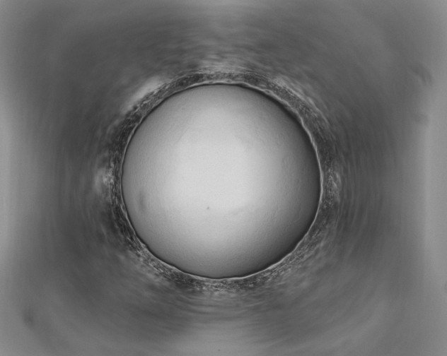 X0000113131254200909041140