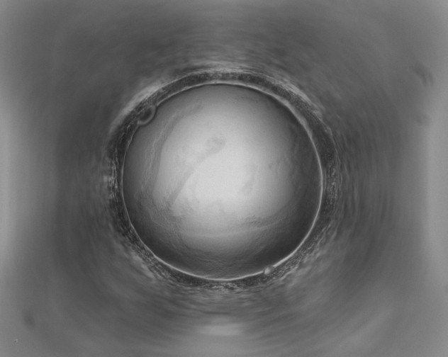 X0000113131255200909041140