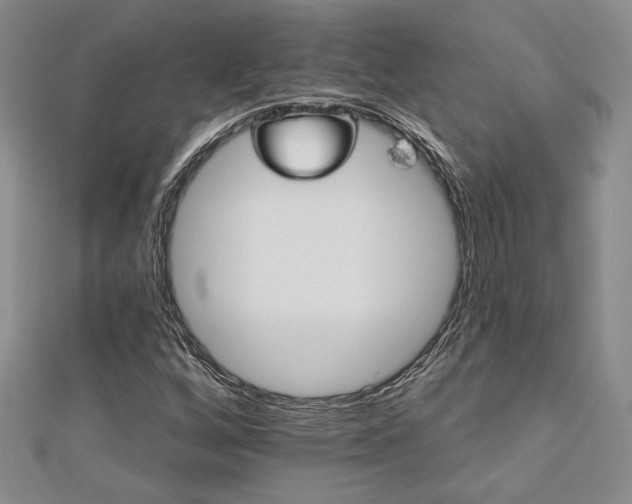 X0000113131256200909041140