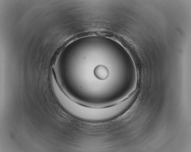 X0000113131257200909041140
